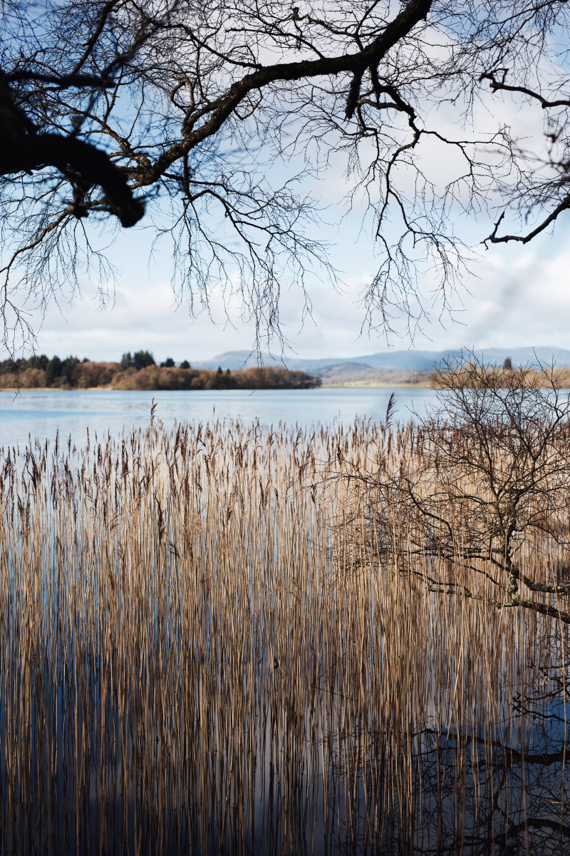 Lake of Menteith