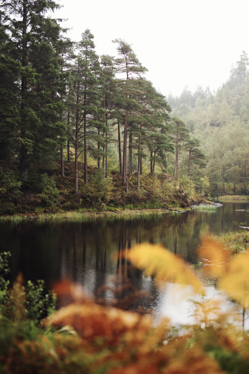 Lochan a' Ghleannain