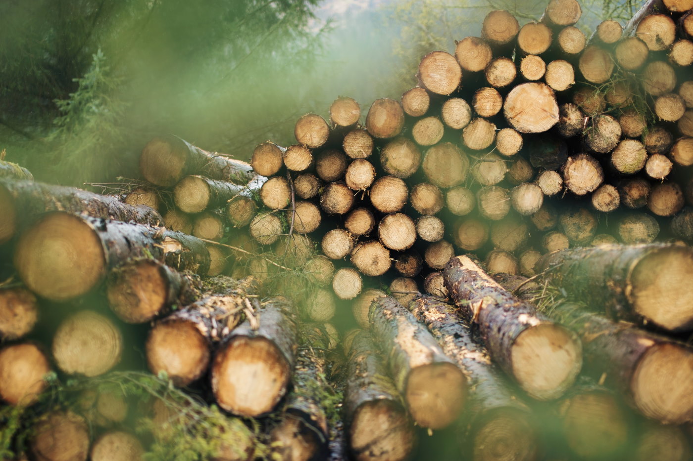 Trossachs National Park