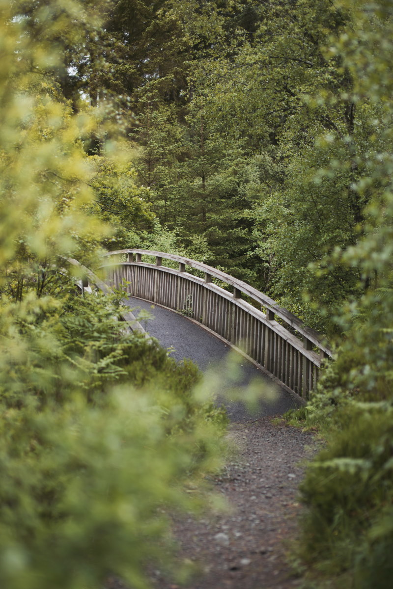 Ben Venue hiking trail