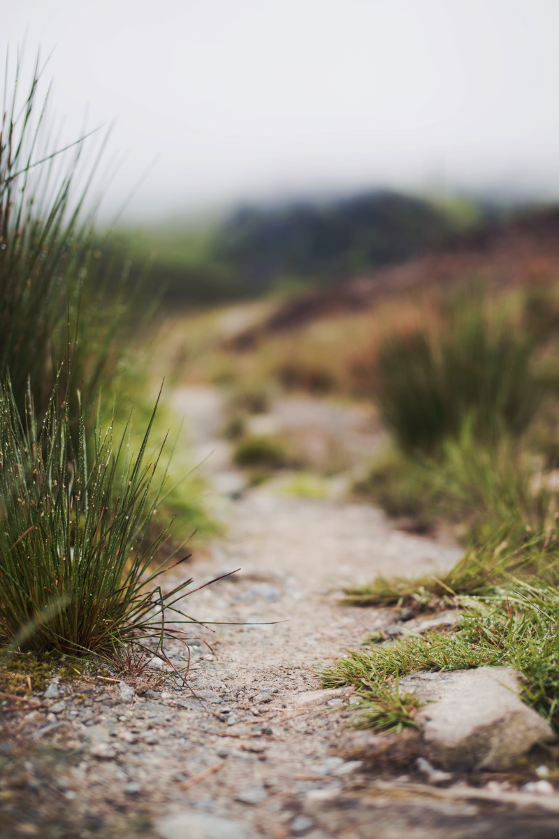 Ben Venue hiking trail