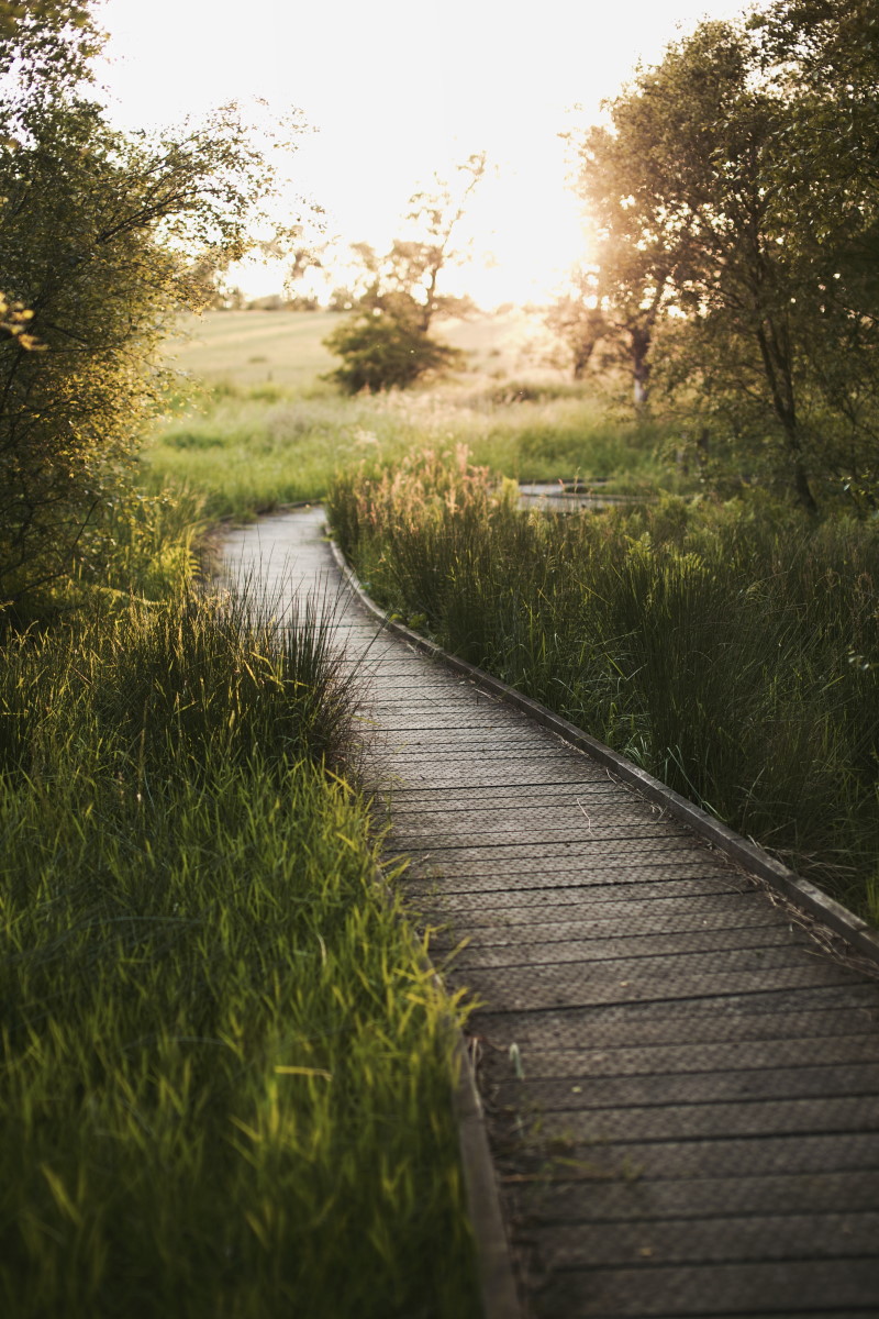 Red Moss Nature Reserve