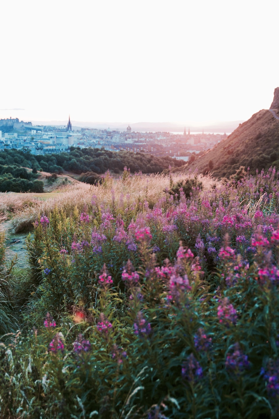 Arthurs Seat