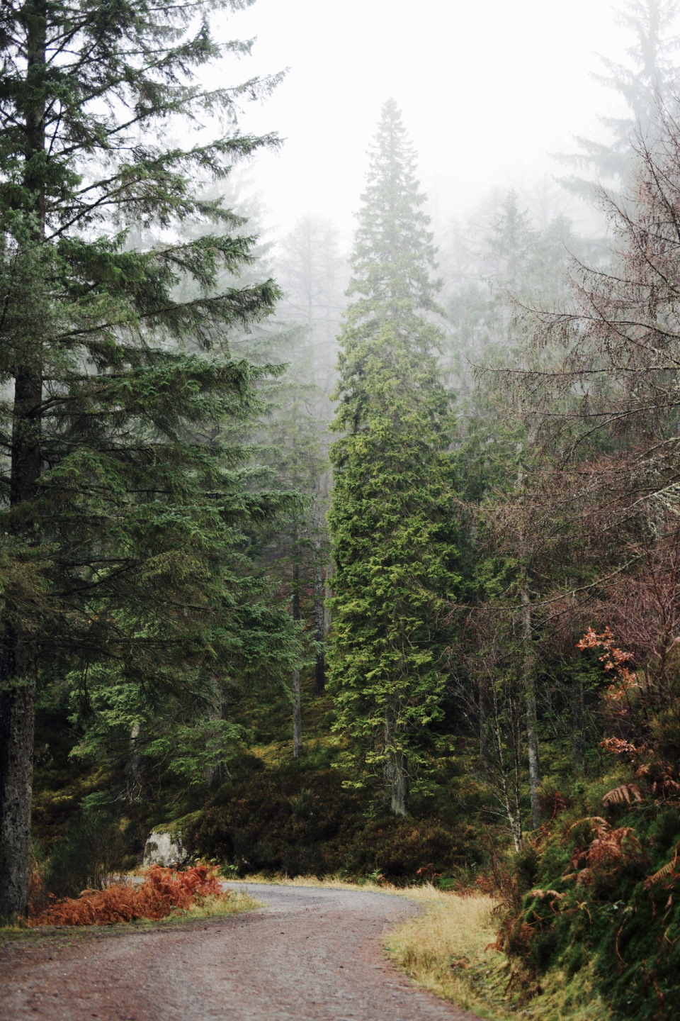 Lochan a' Ghleannain