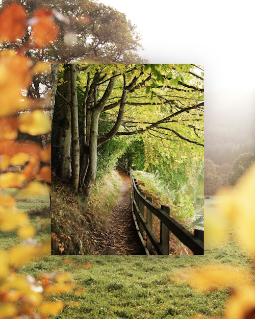 Image overlay example image