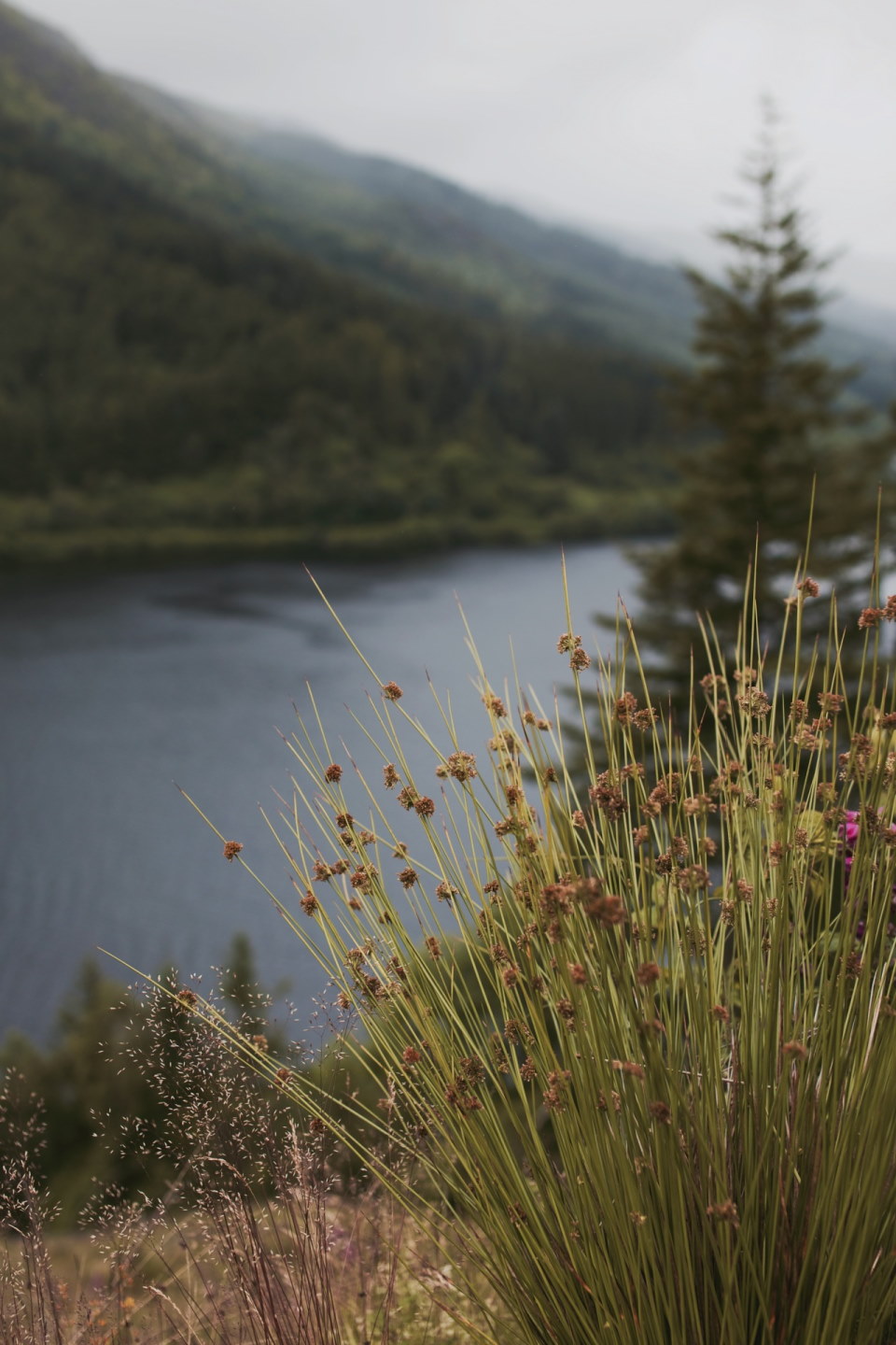 Loch Lubnaig